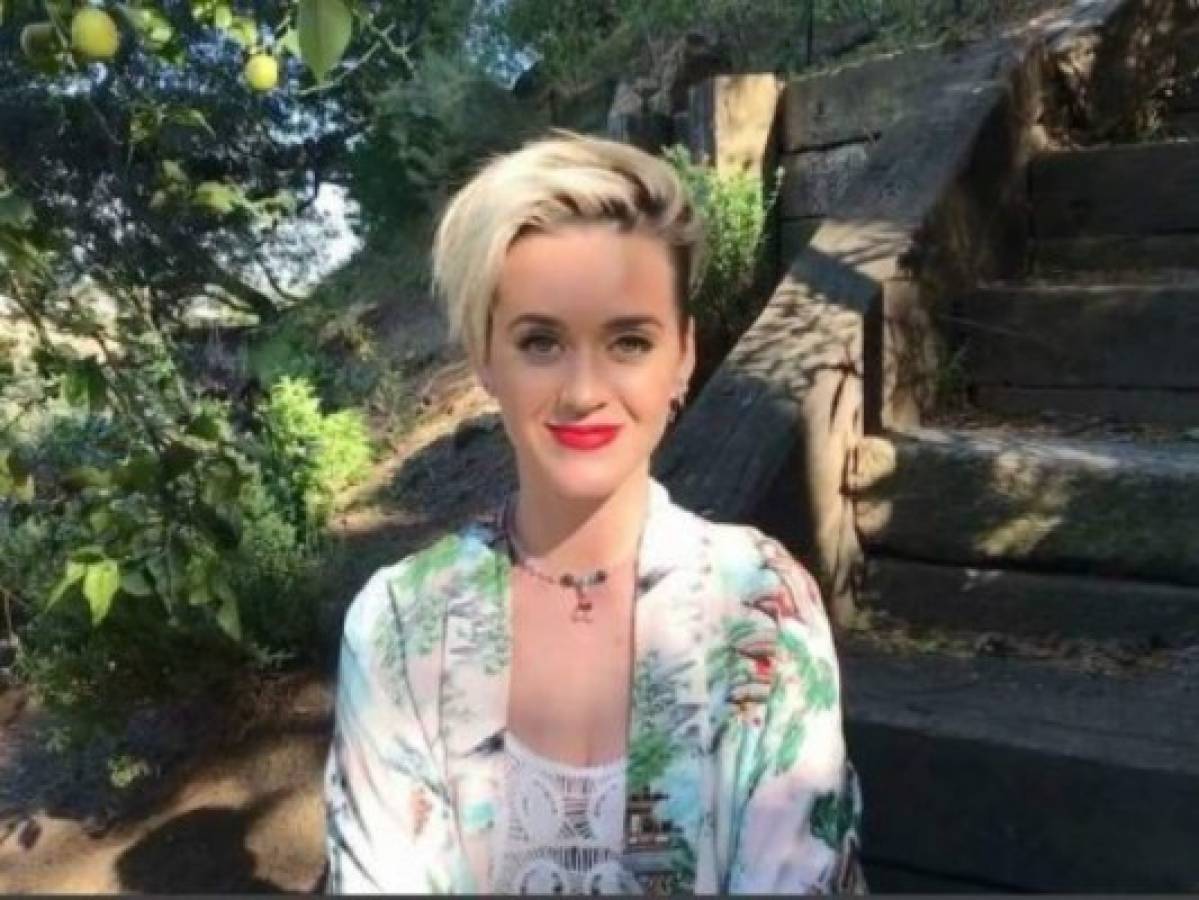 Katy Perry se busca en Google y publica sexy foto que encontró