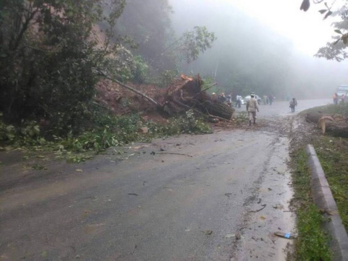 Interrumpido paso vehicular hacia Marcala por derrumbe en carretera