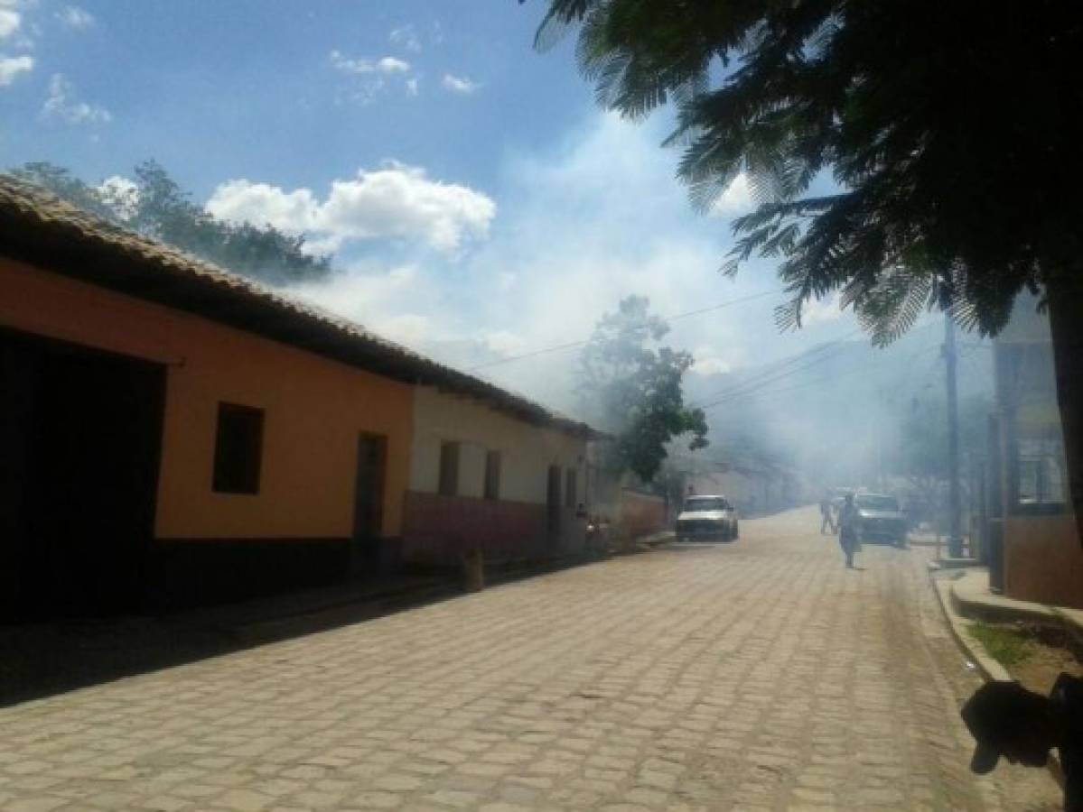 Honduras: Chikungunya sería importado desde El Salvador