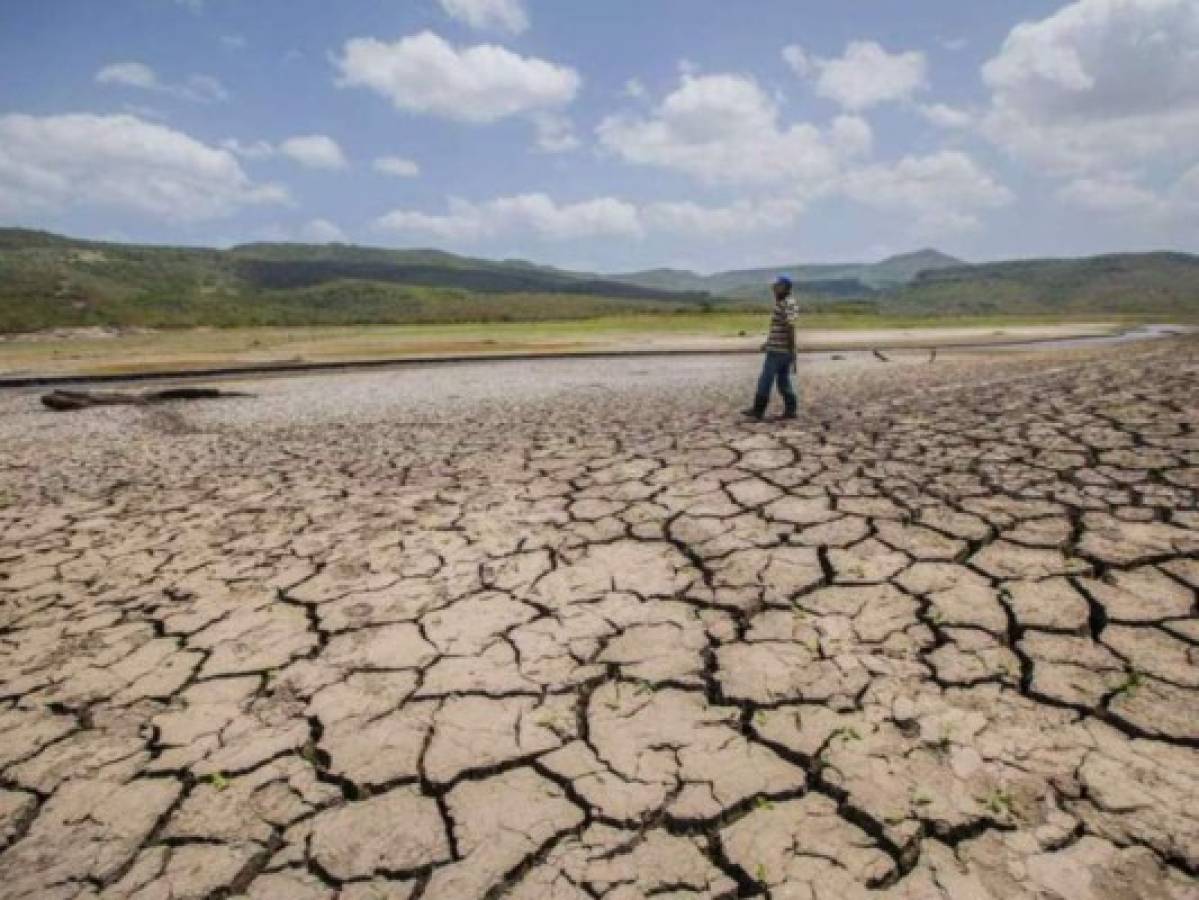 Centroamérica define medidas ante una sequía que se avecina