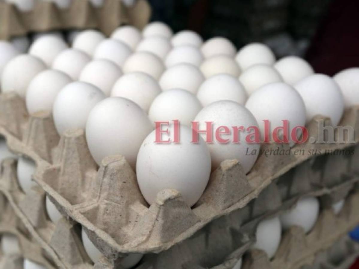 Honduras: Se mantiene el precio del cartón de huevos en la capital