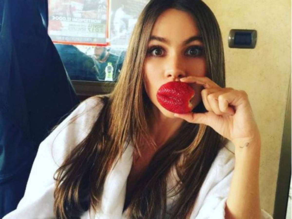 Sofía Vergara impacta con sensual foto del recuerdo