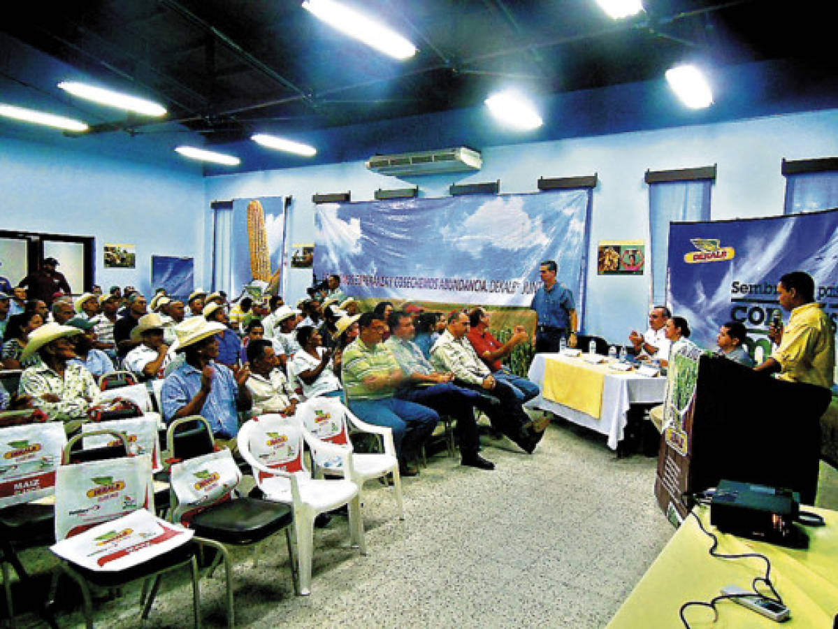 Lanzan plan productivo de maíz en Comayagua