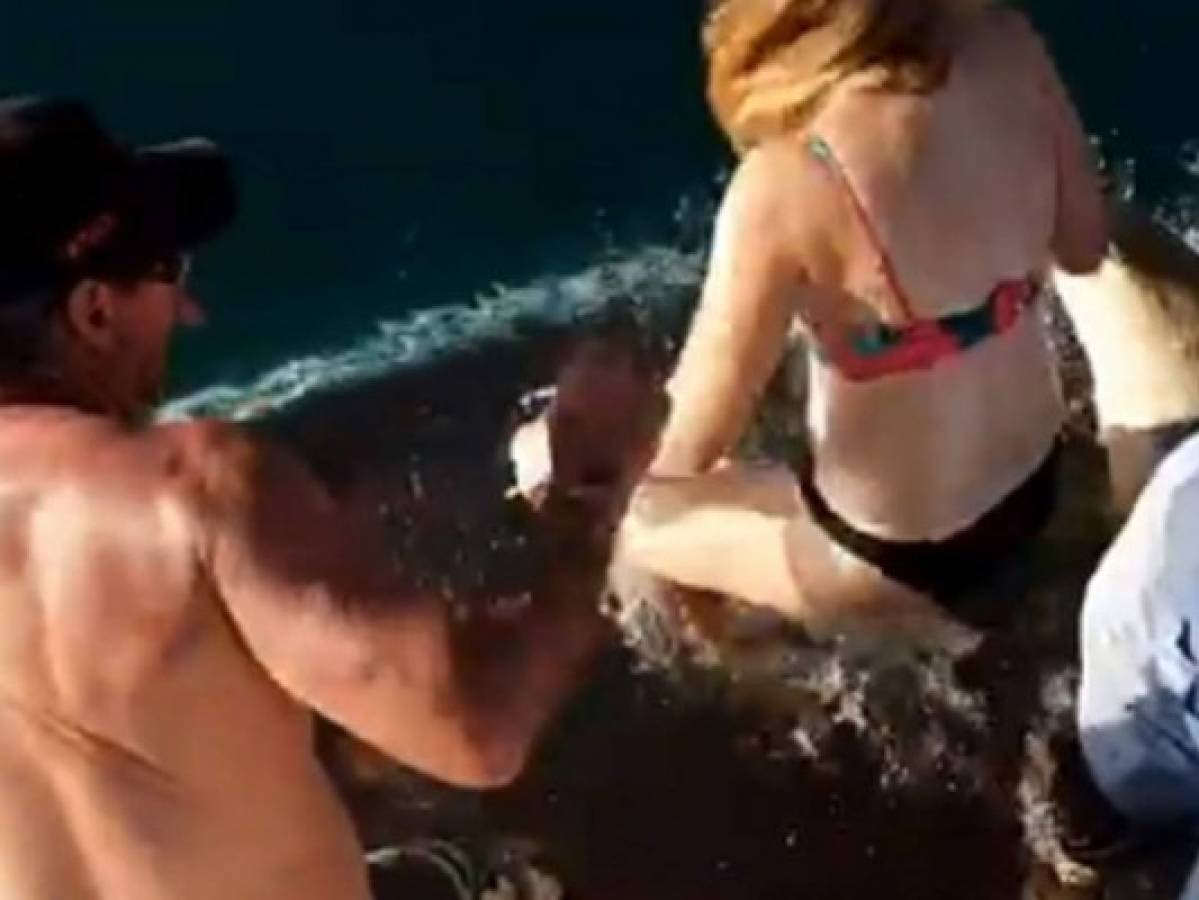 Mujer nada con cocodrilos al ser arrastrada por un tiburón en Australia