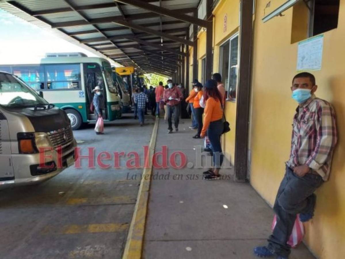 El 80% del transporte urbano e interurbano ya opera en Comayagua