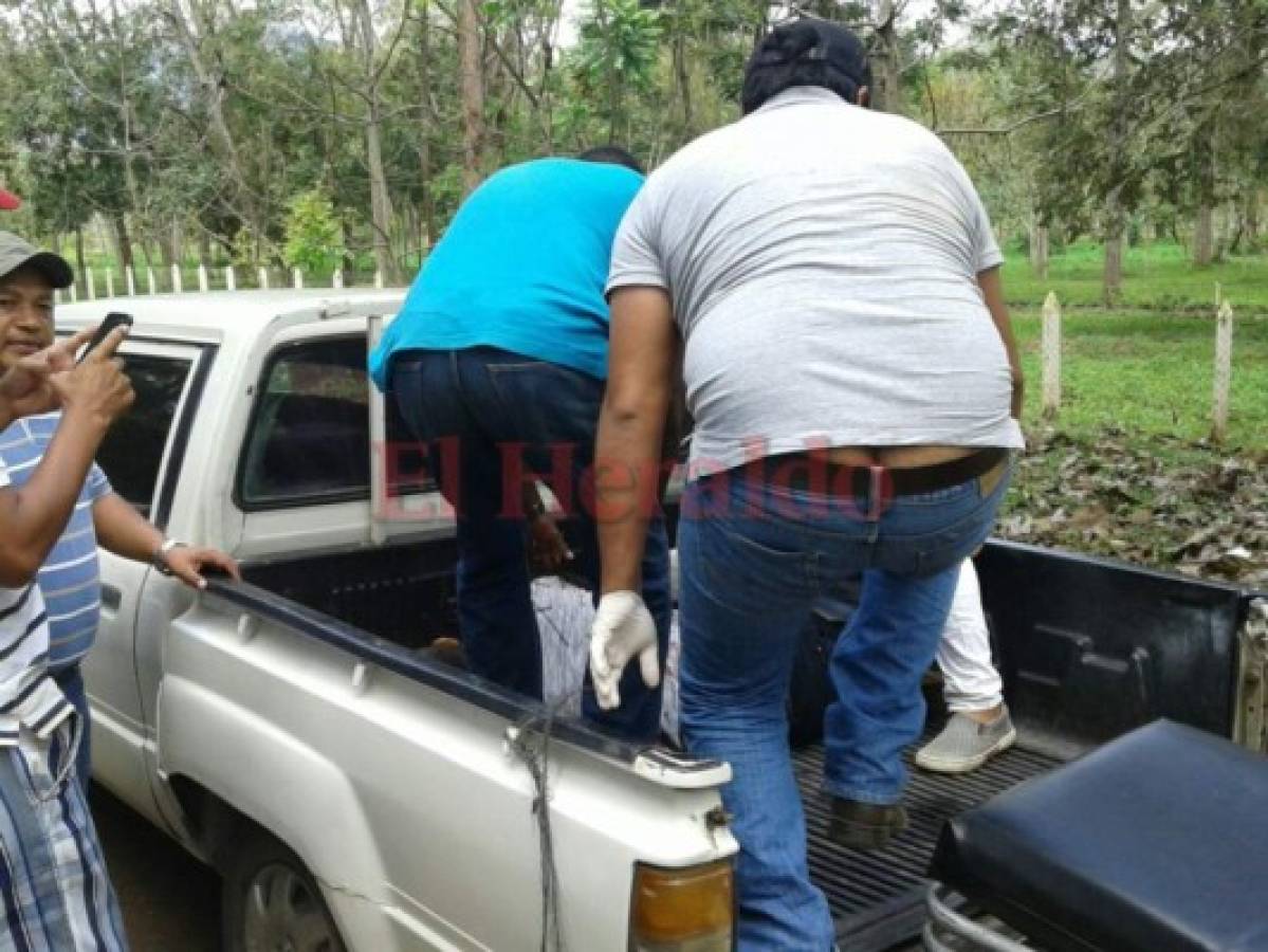 Una venganza estaría detrás de la masacre de este viernes en Olancho