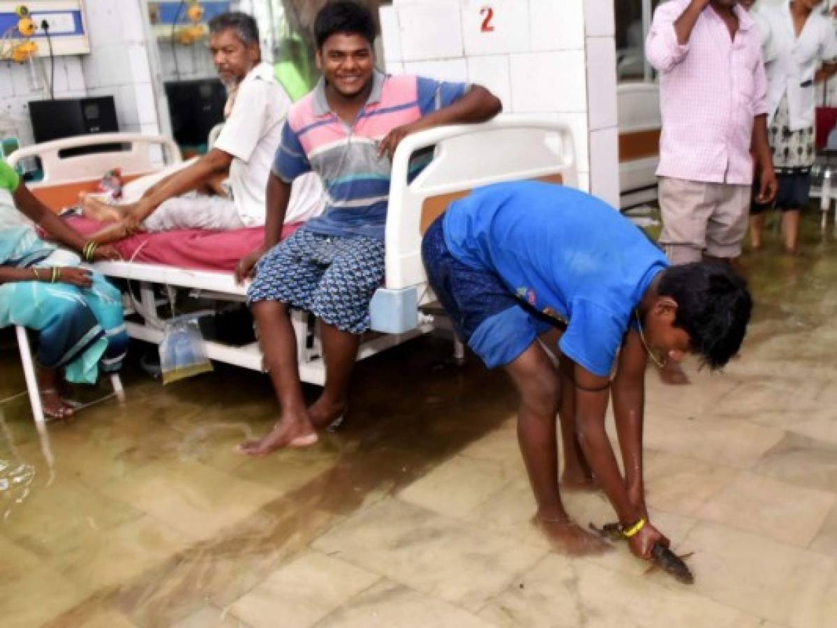 Inundaciones llevan peces hasta los pasillos de un hospital en la India