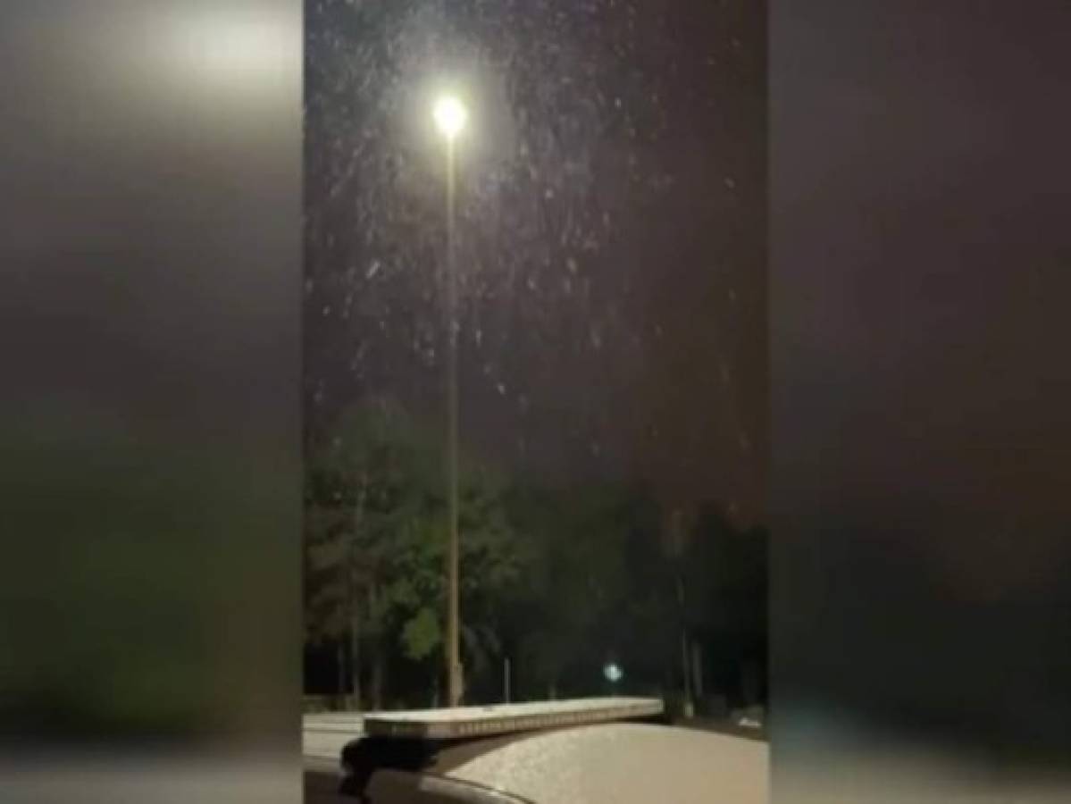 VIDEO: Captan los primeros copos de nieve en Florida; no pasaba desde 2018