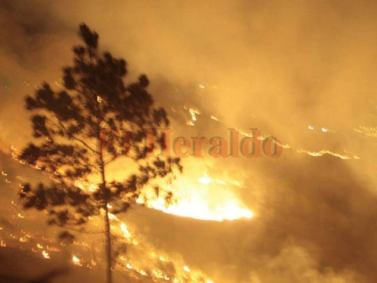 El Picacho, El Hatillo, La Tigra... llamas que solo pueden catalogarse cómo 'crimen forestal'. Foto: El Heraldo.