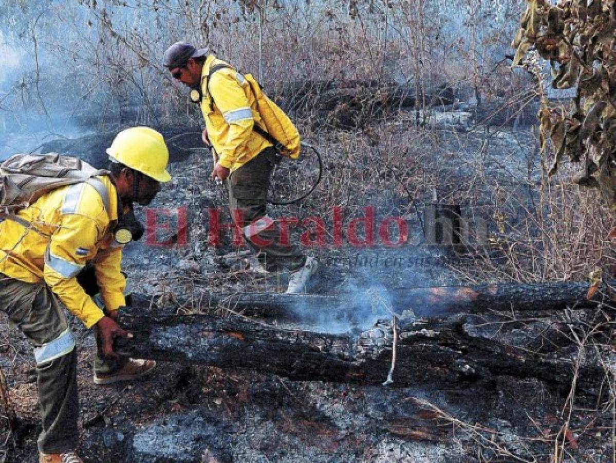 Incendios han afectado 30 mil hectáreas de bosque en Honduras