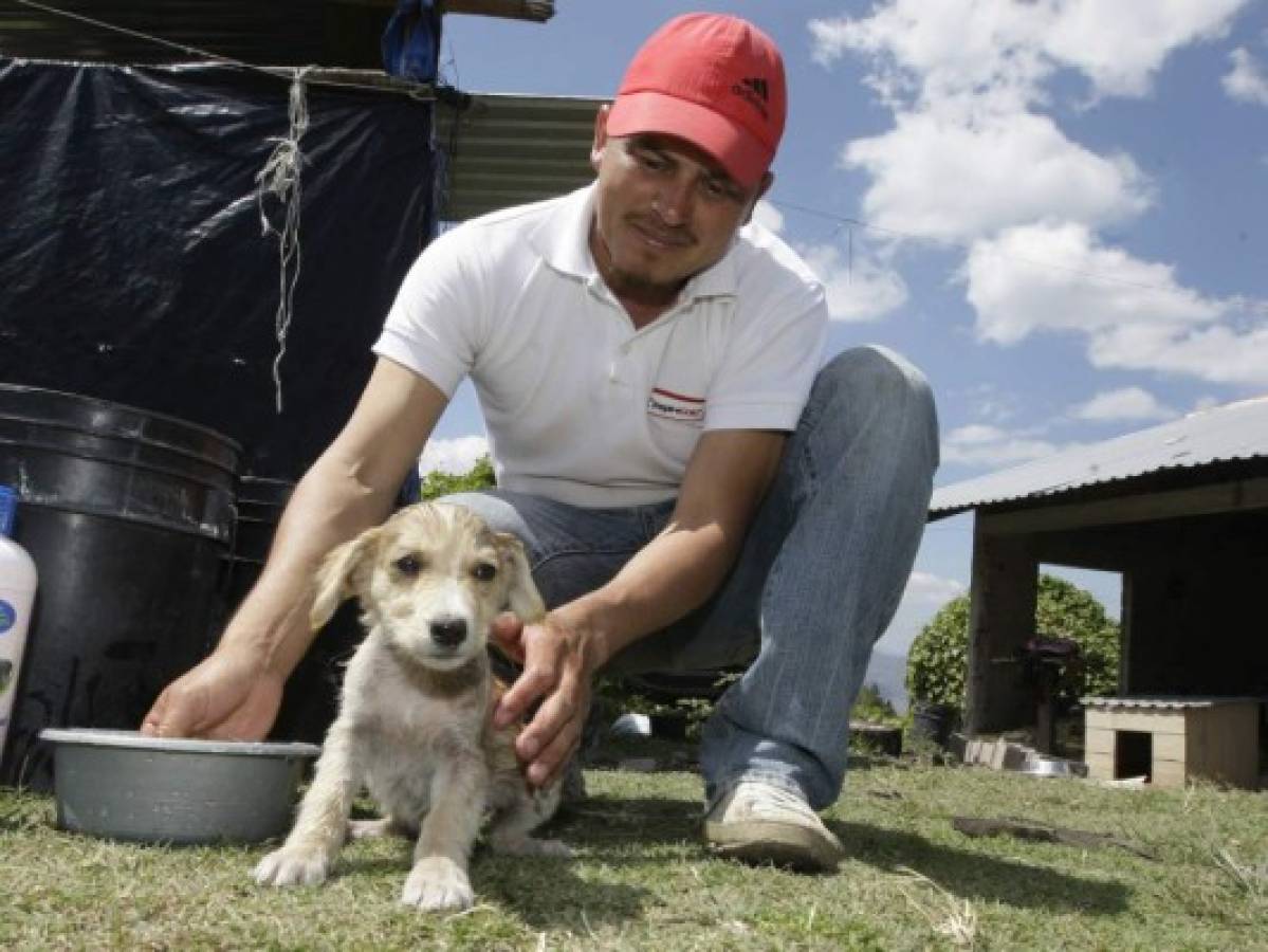 Amilcar Rivera, el aliado incondicional de 19 canes que él mismo ha recogido de las calles
