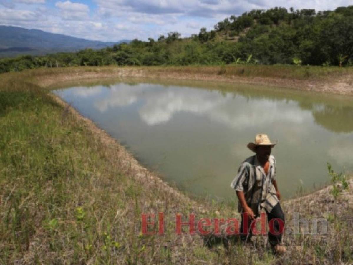 Foto: El Heraldo