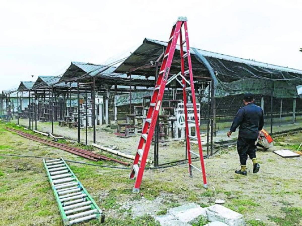 Granja penal de Comayagua reactiva rubros de producción