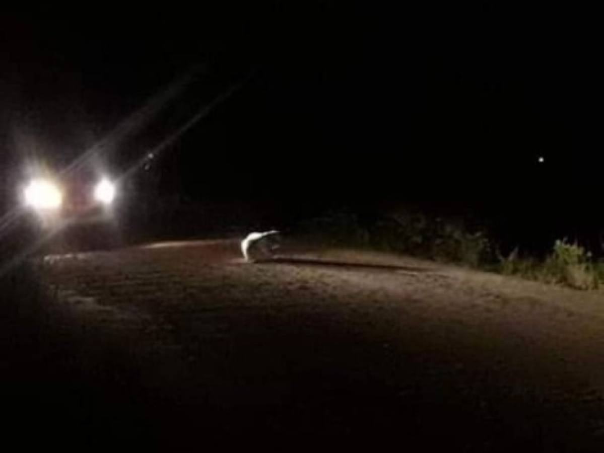 Los criminales aprovecharon la oscuridad de la noche para dejar el cuerpo en le lugar del hallazgo.