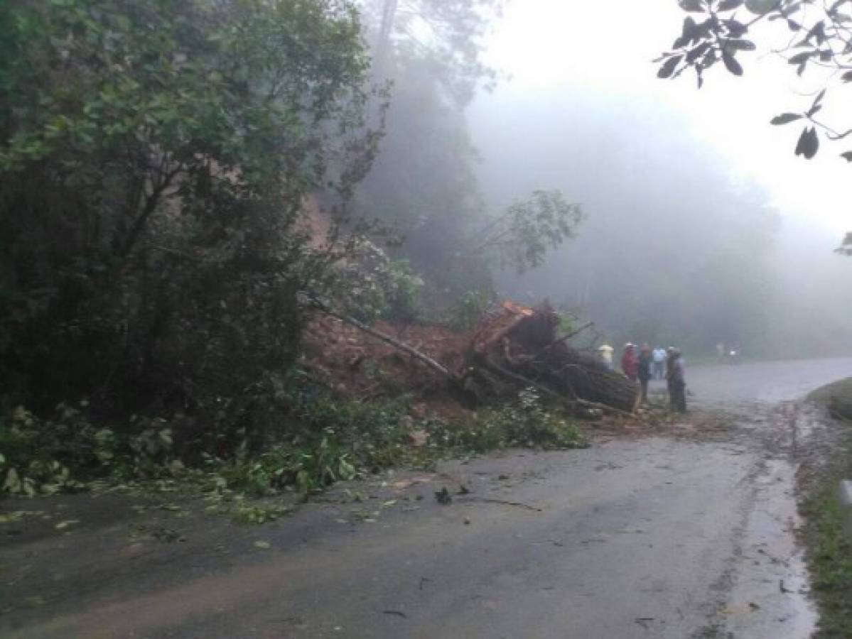 Interrumpido paso vehicular hacia Marcala por derrumbe en carretera