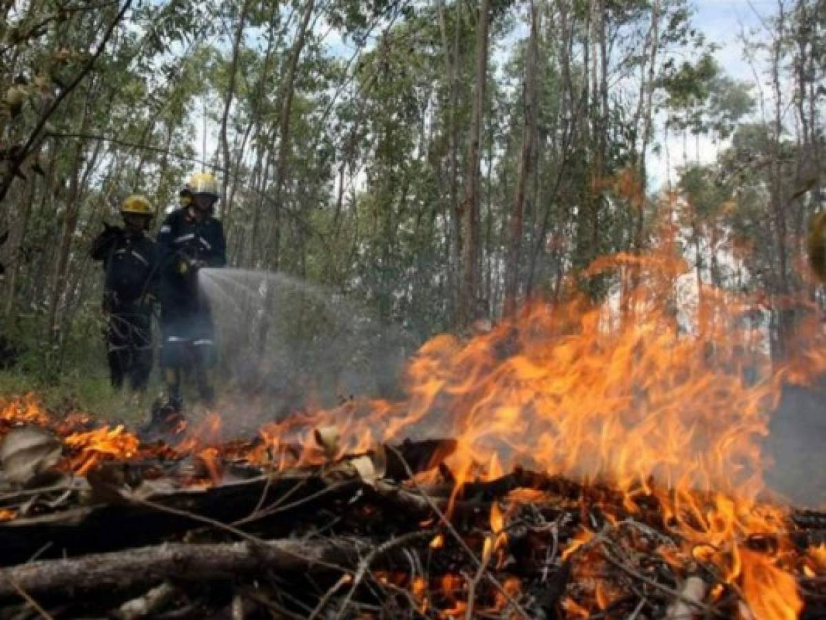 Honduras registra 50 incendios forestales en lo que va de 2018