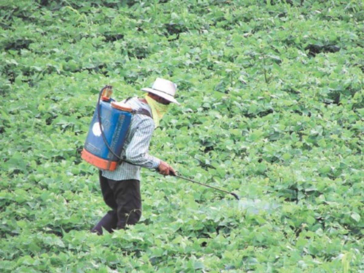 Vigente el reglamento que exonera al agro de pagar el 15% del ISV