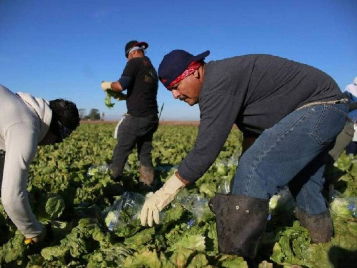 Países desarrollados necesitan a inmigrantes para reforzar mano de obra