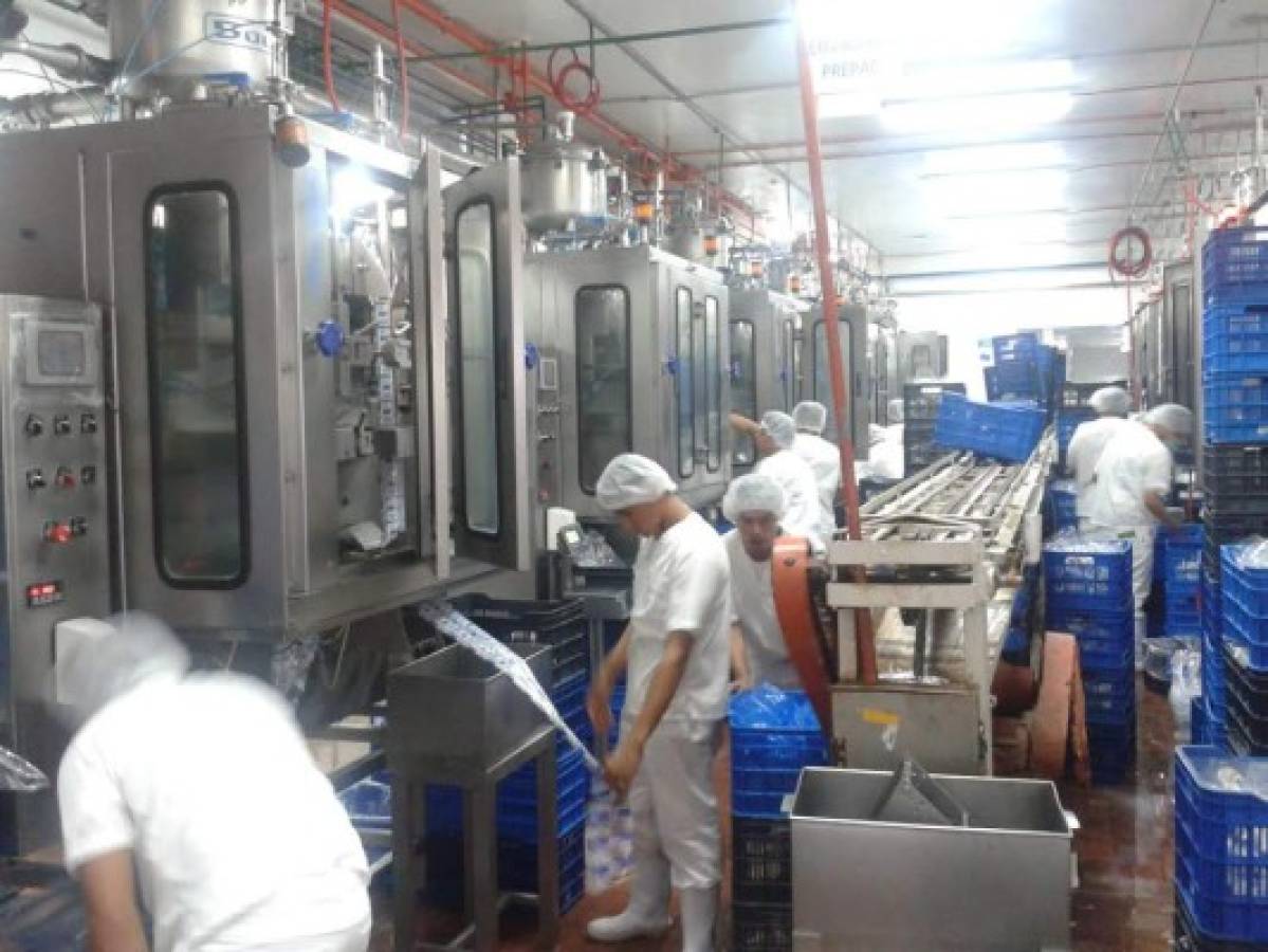 Honduras: Lacthosa busca exportar crema a nuevos mercados