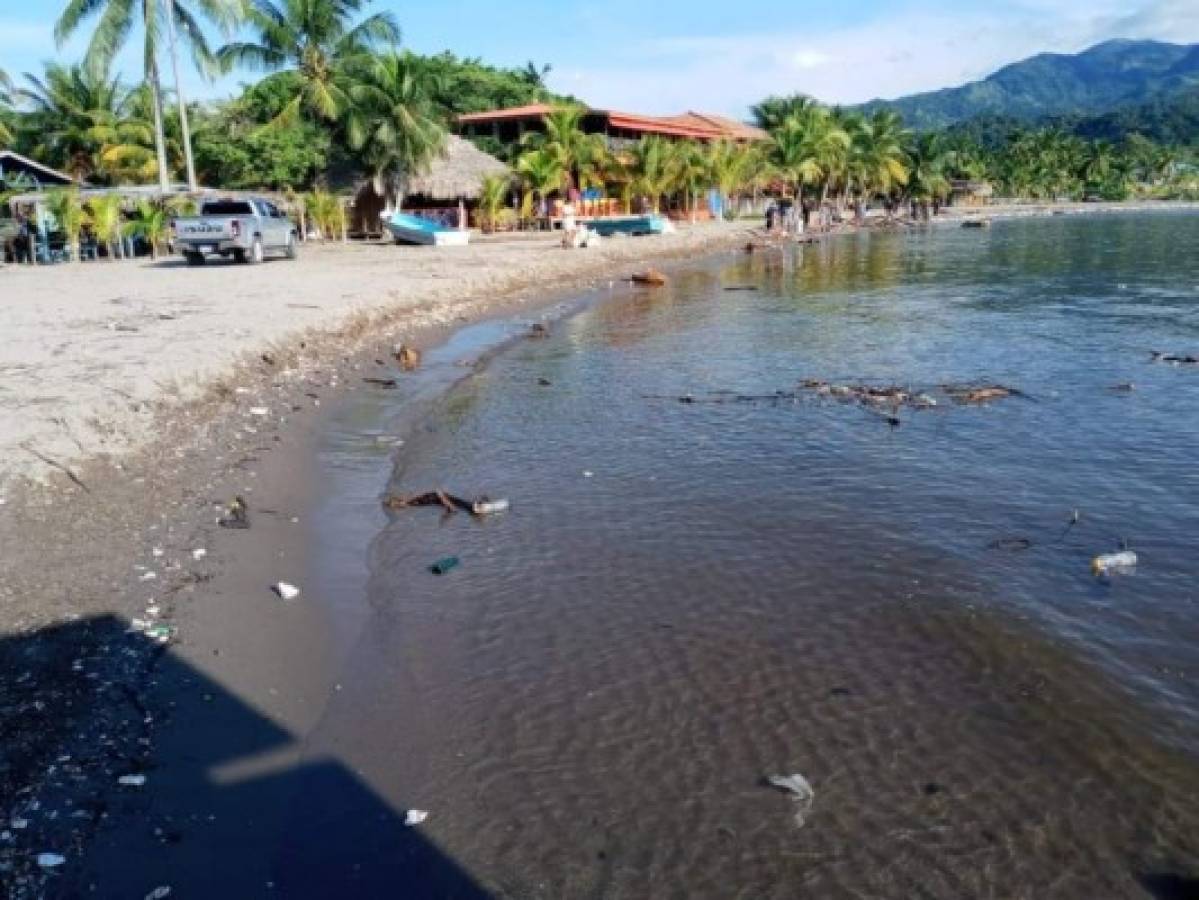 Realizan jornada de limpieza en el río Motagua tras oleada de basura