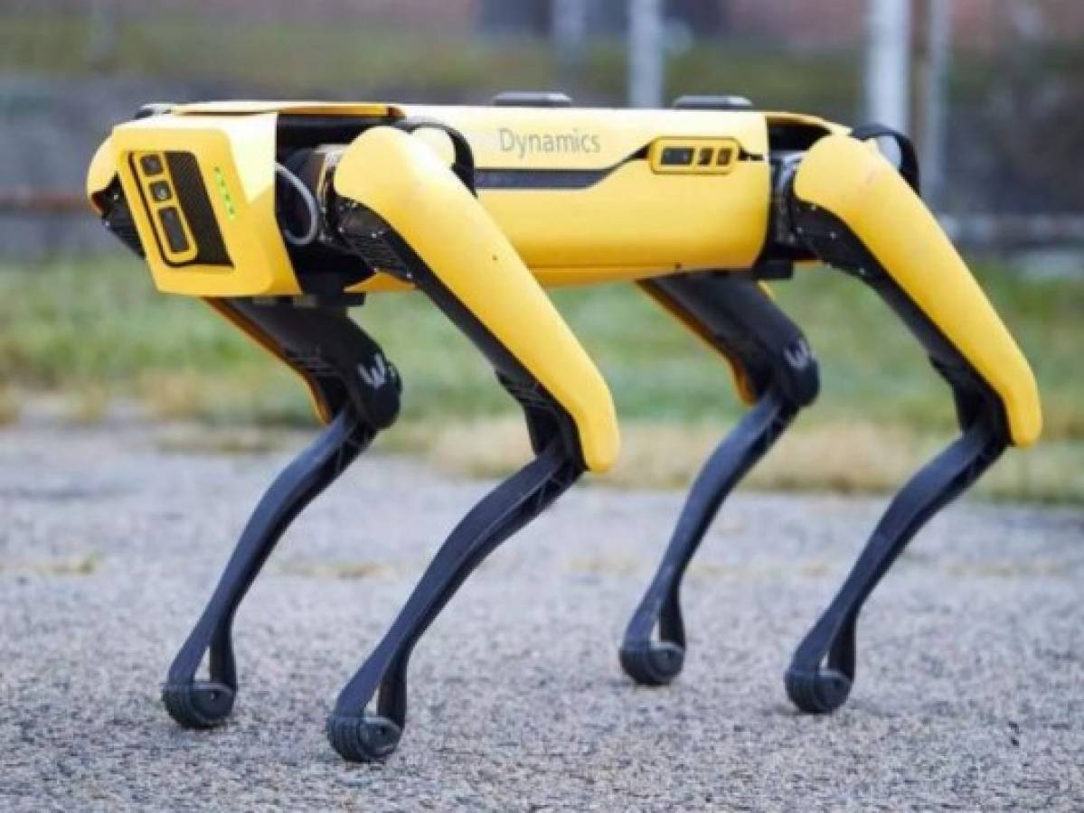 VIDEO: captan a perro robot deambulando por las calles de Canadá