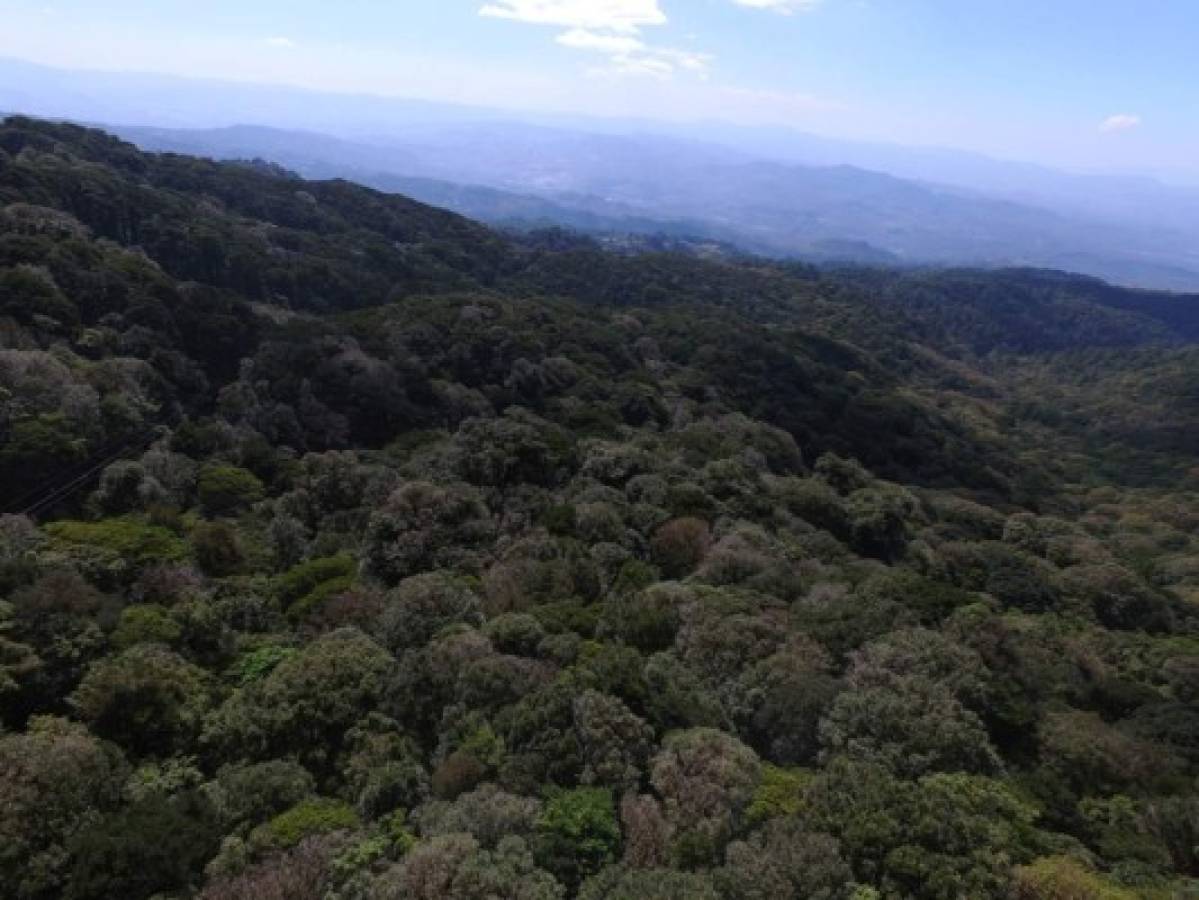 La ruta Cerro de Plata, la unión de El Picacho, El Piligüín y La Tigra