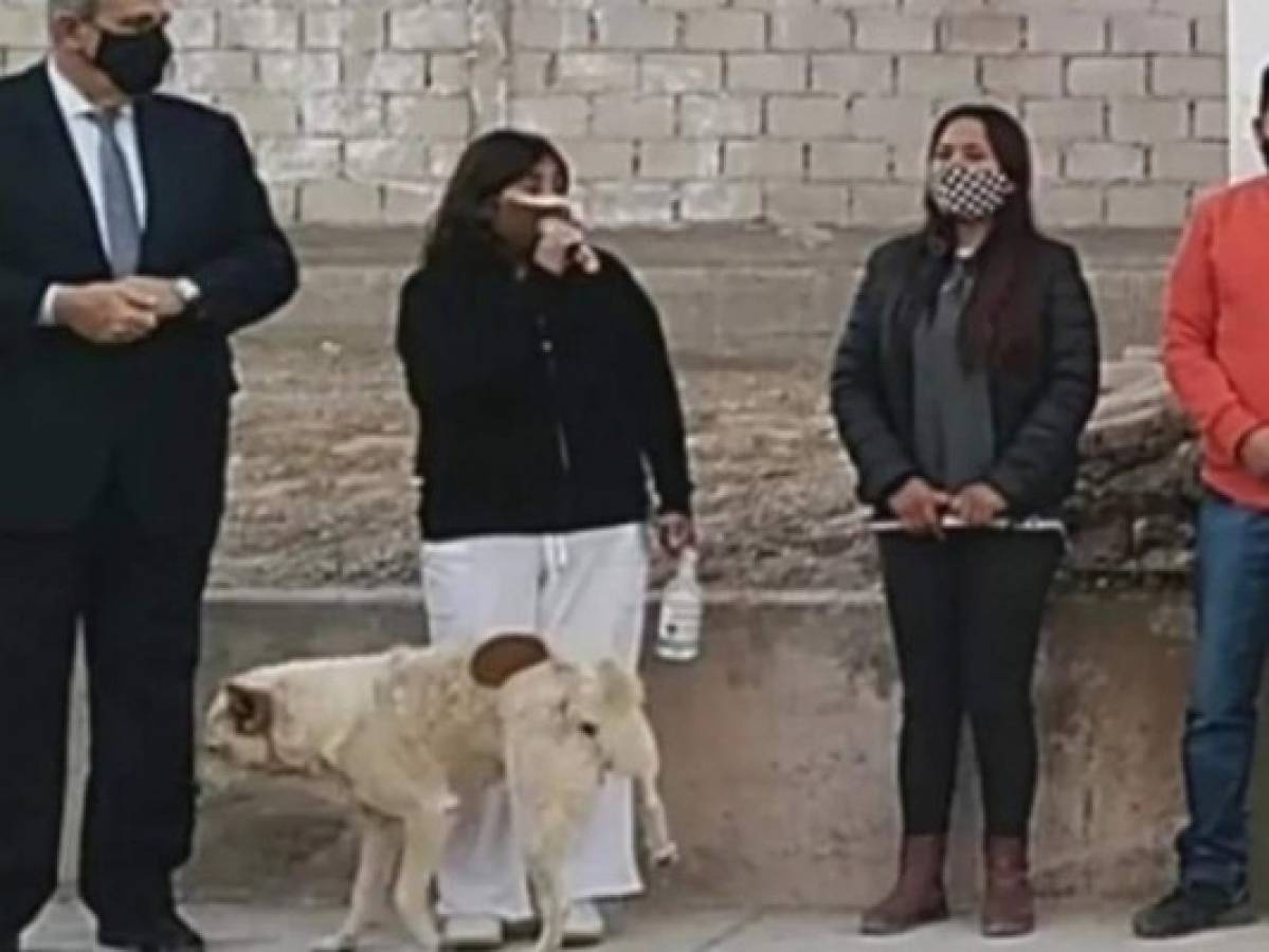 VIDEO: Perro orina a alcaldesa en pleno discurso