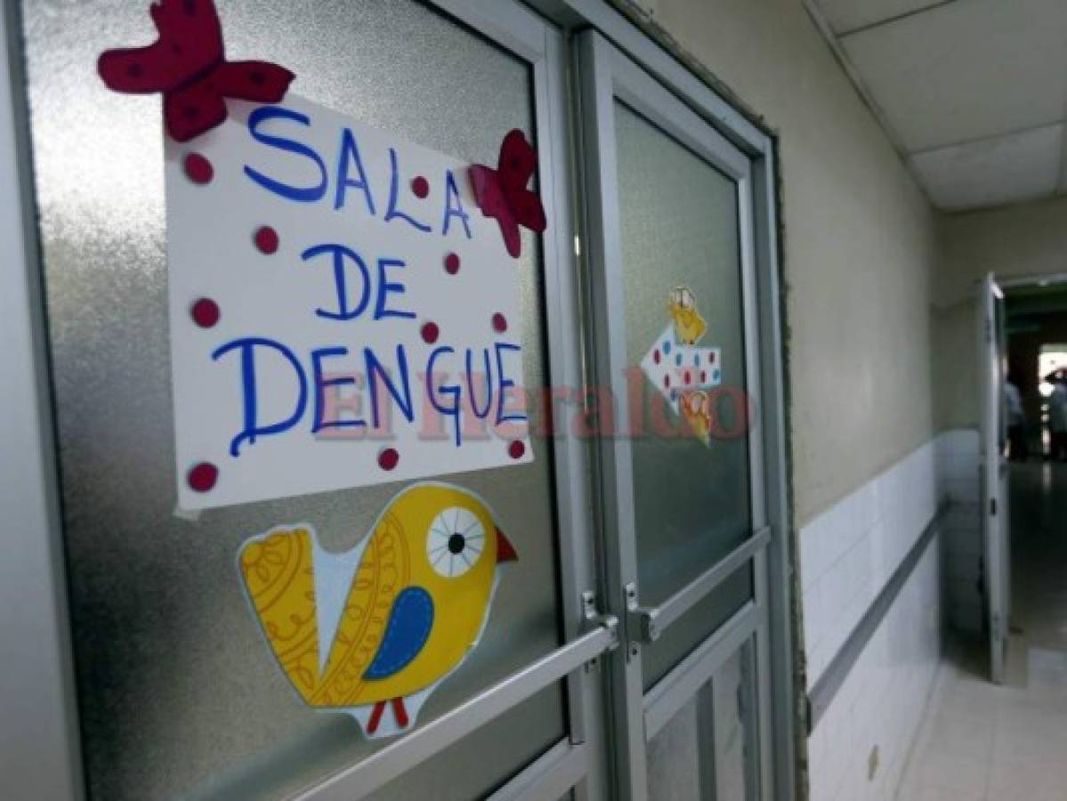En alerta 10 regiones de Honduras ante el repunte de casos de dengue