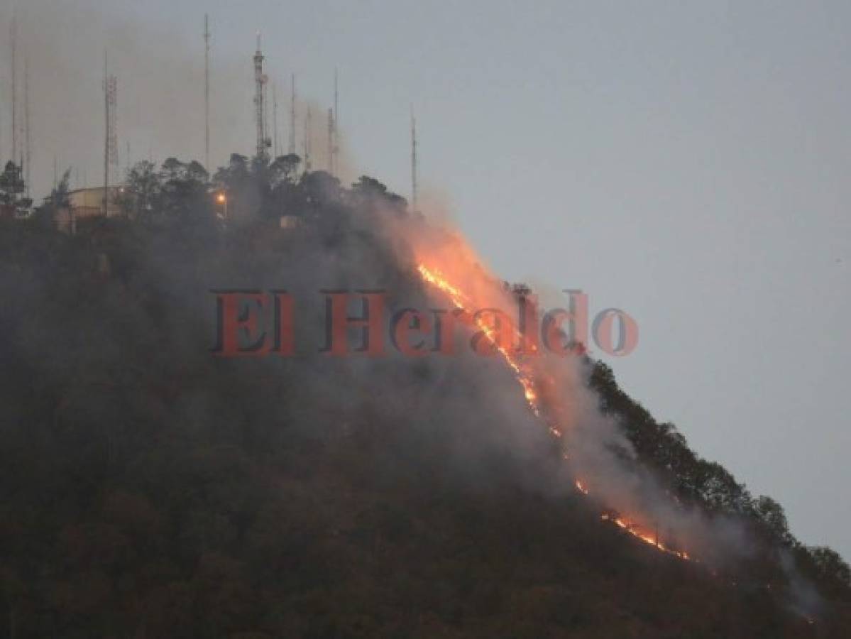 Crimen forestal acaba con 80 hectáreas en Tegucigalpa