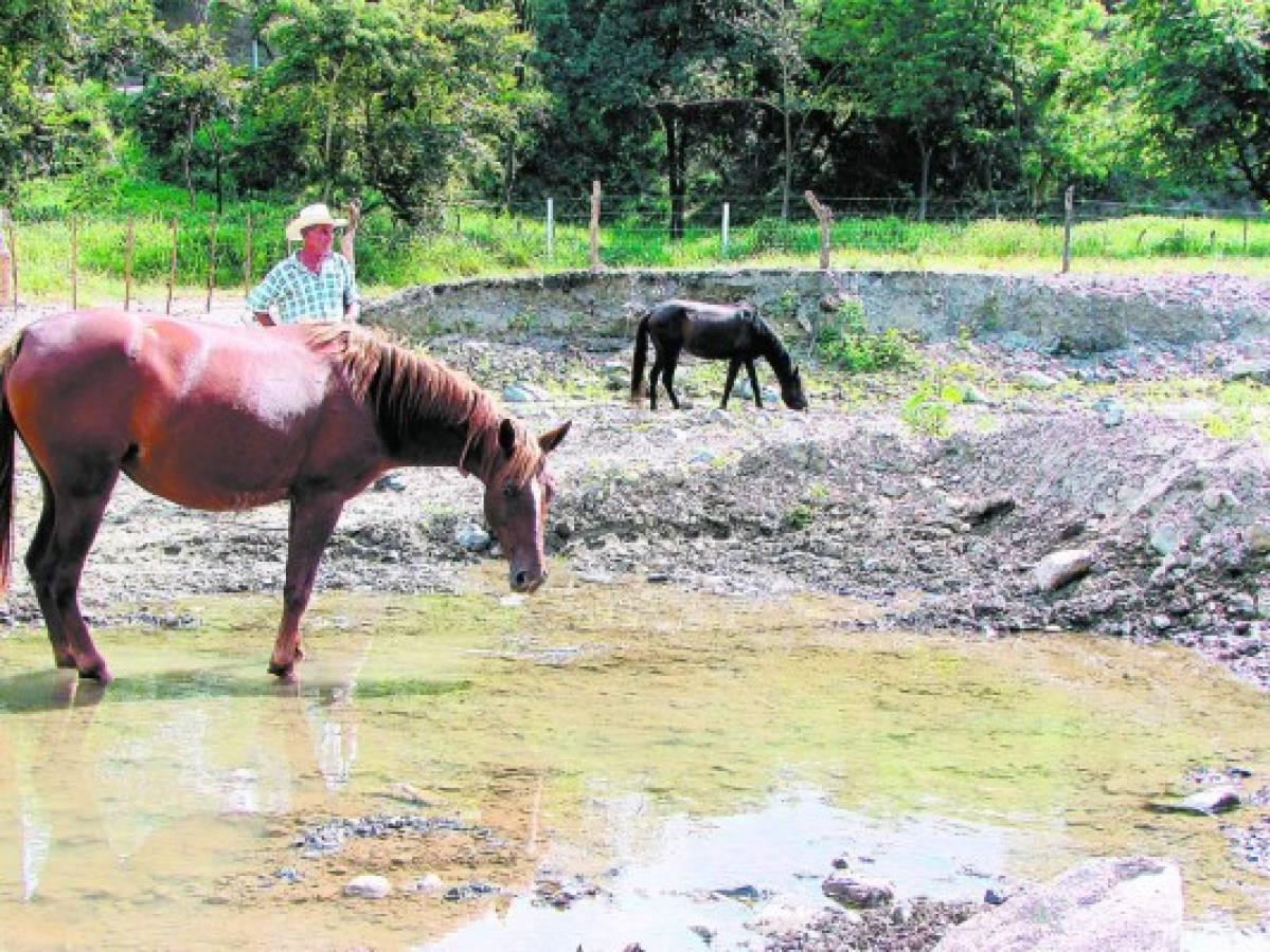 Productores del agro urgen medidas para enfrentar endeudamiento