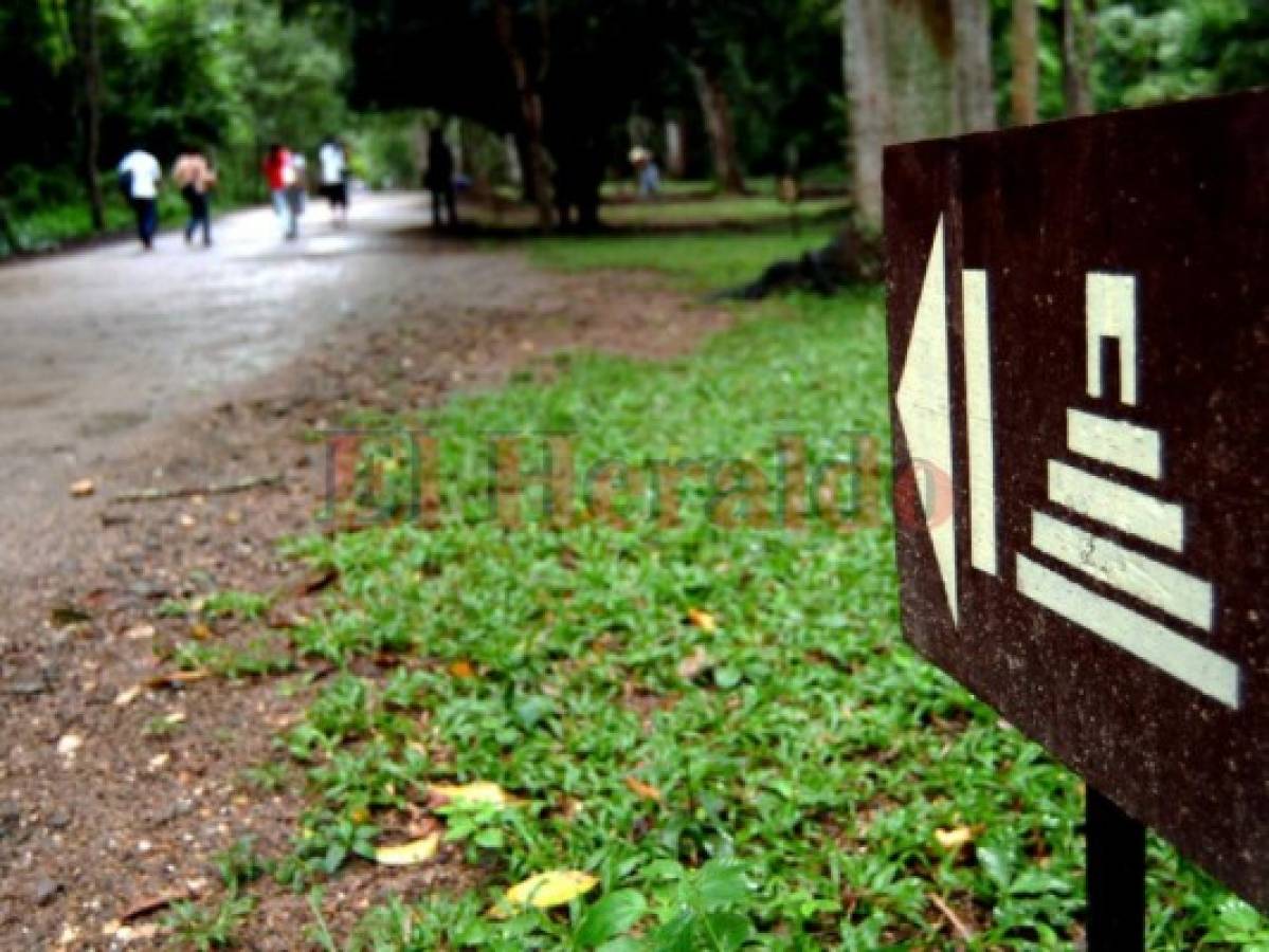 Una caminata por Ruinas de Copán en Honduras y una mirada a Copán Imperial