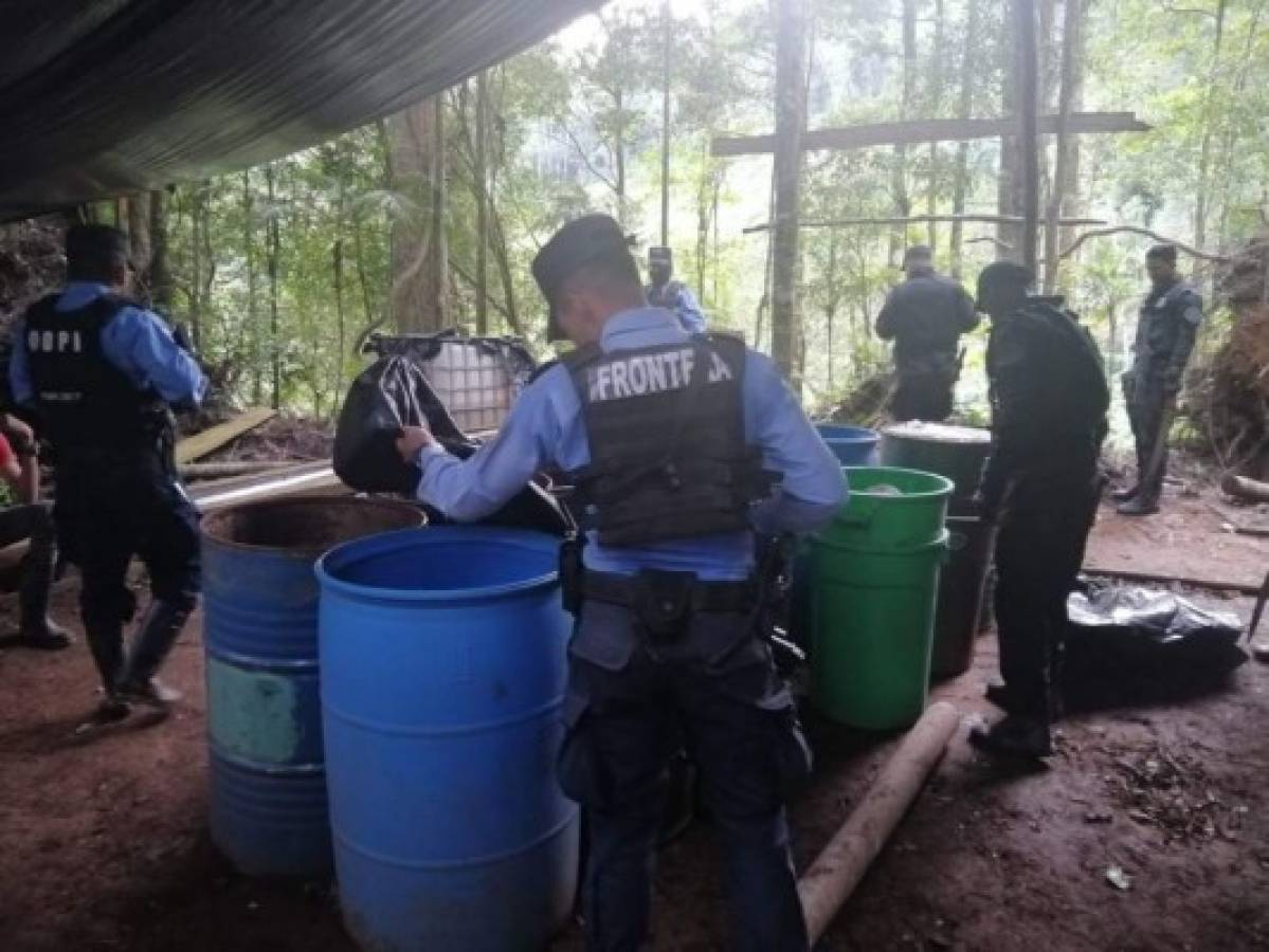 Destruyen narcolaboratorio y plantación de supuesta cocaína en Trojes, El Paraíso