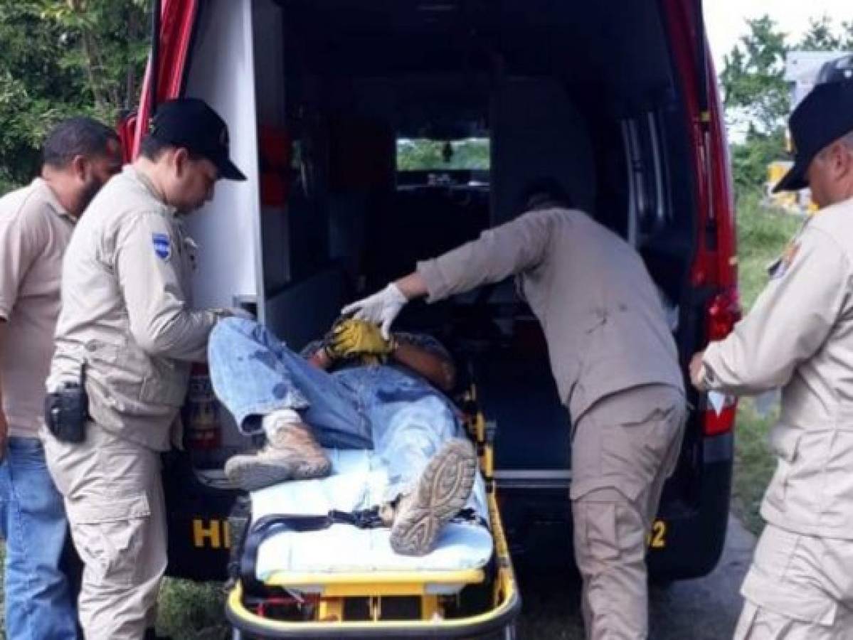 Hombre muere electrocutado cuando podaba ramas de un árbol en Cortés