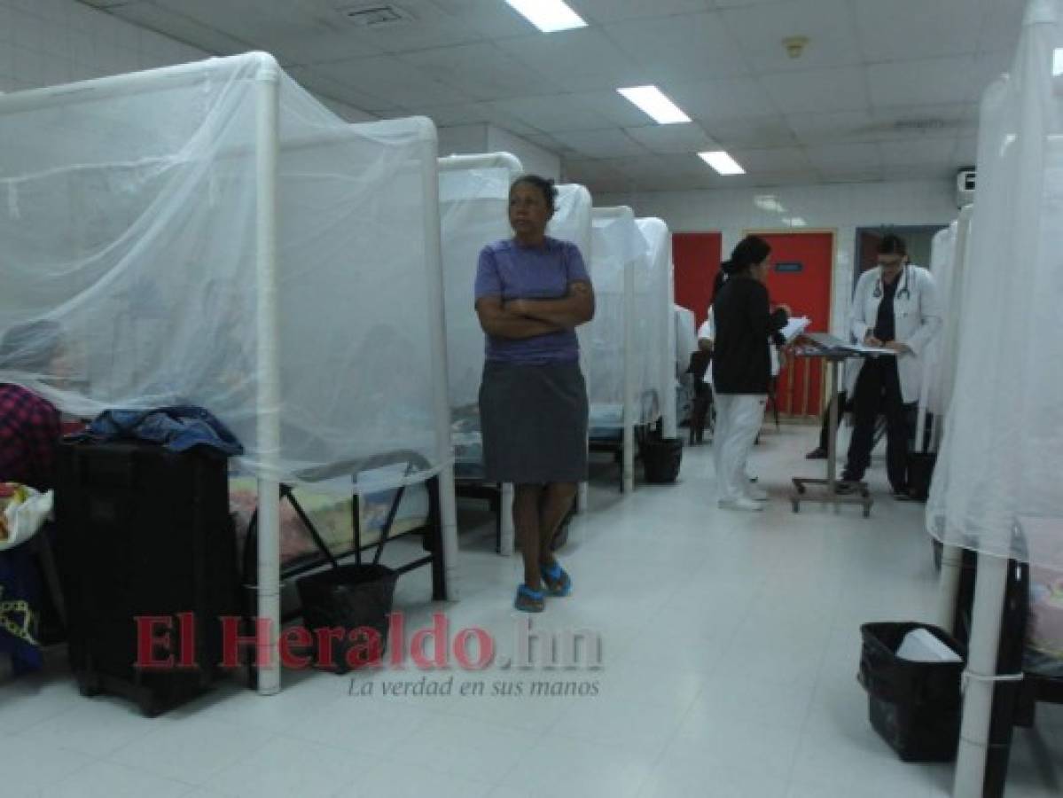 Por epidemia de dengue han muerto 135 hondureños