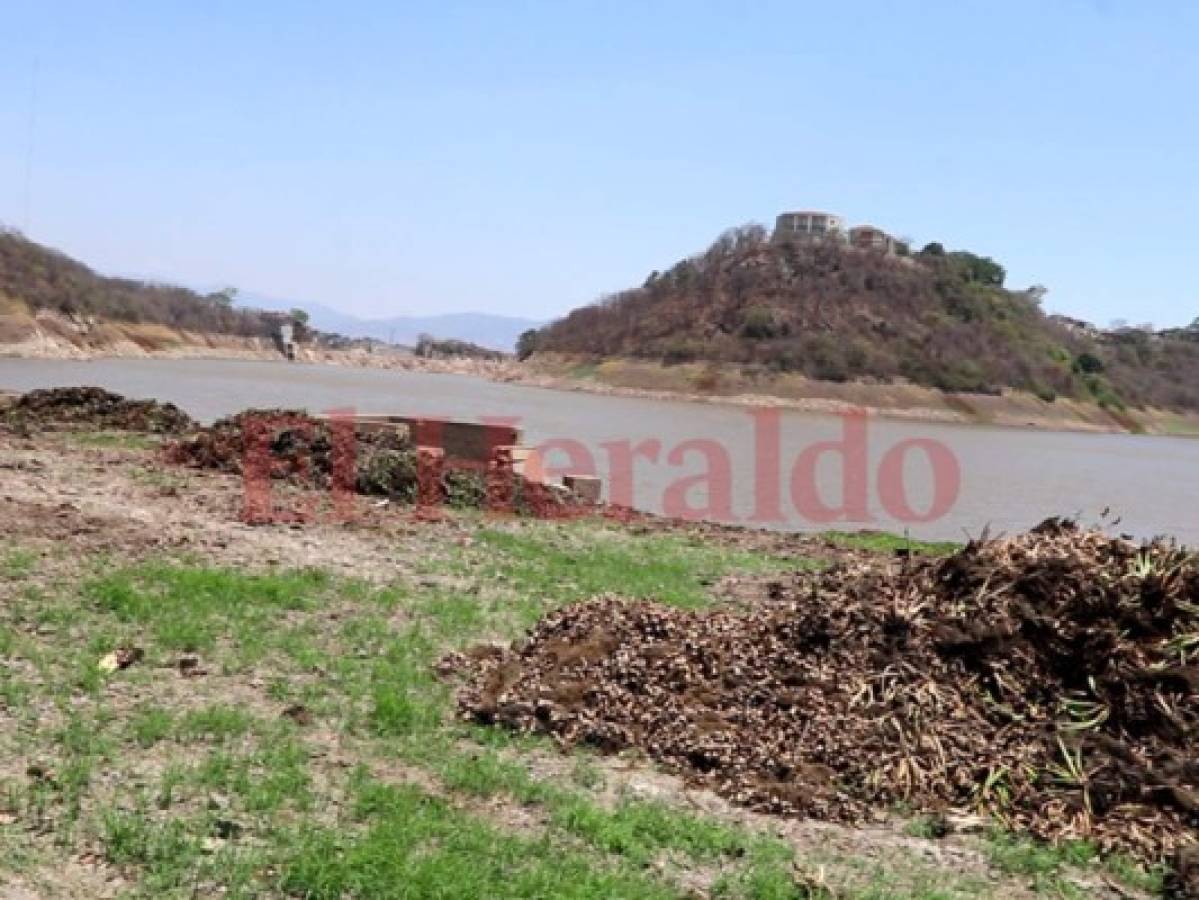 Primer filtro: los guardianes que 'limpian' y protegen el agua de los capitalinos en la represa Los Laureles