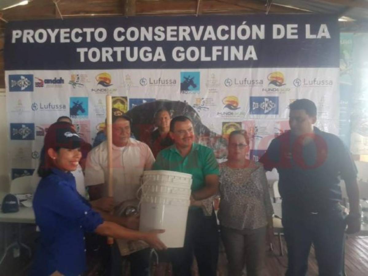 Recuperarán 40 mil huevos de tortugas golfinas