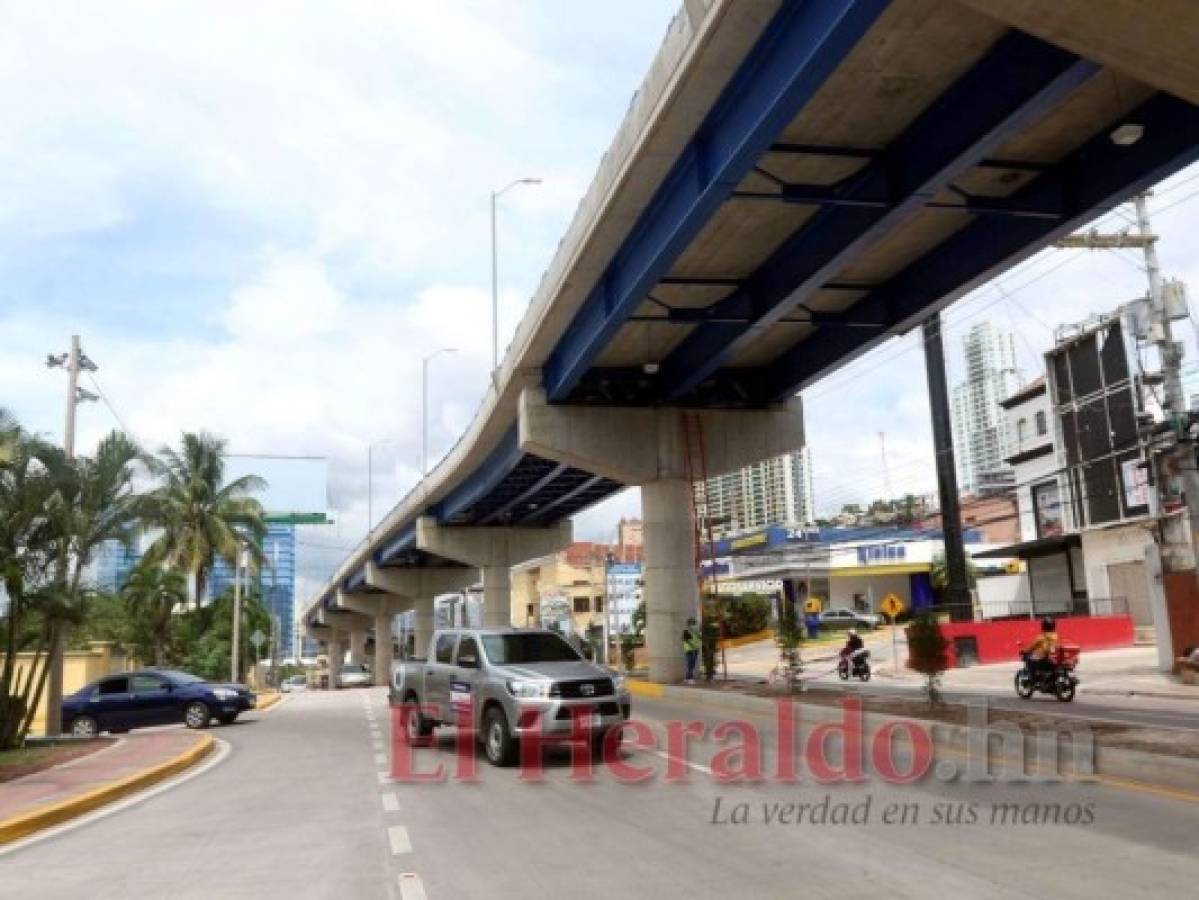 La mediana fue decorada y se sembraron varias plantas a lo largo del bulevar. Las dos rotondas son de diferente tamaño. Foto: Alex Pérez/El Heraldo