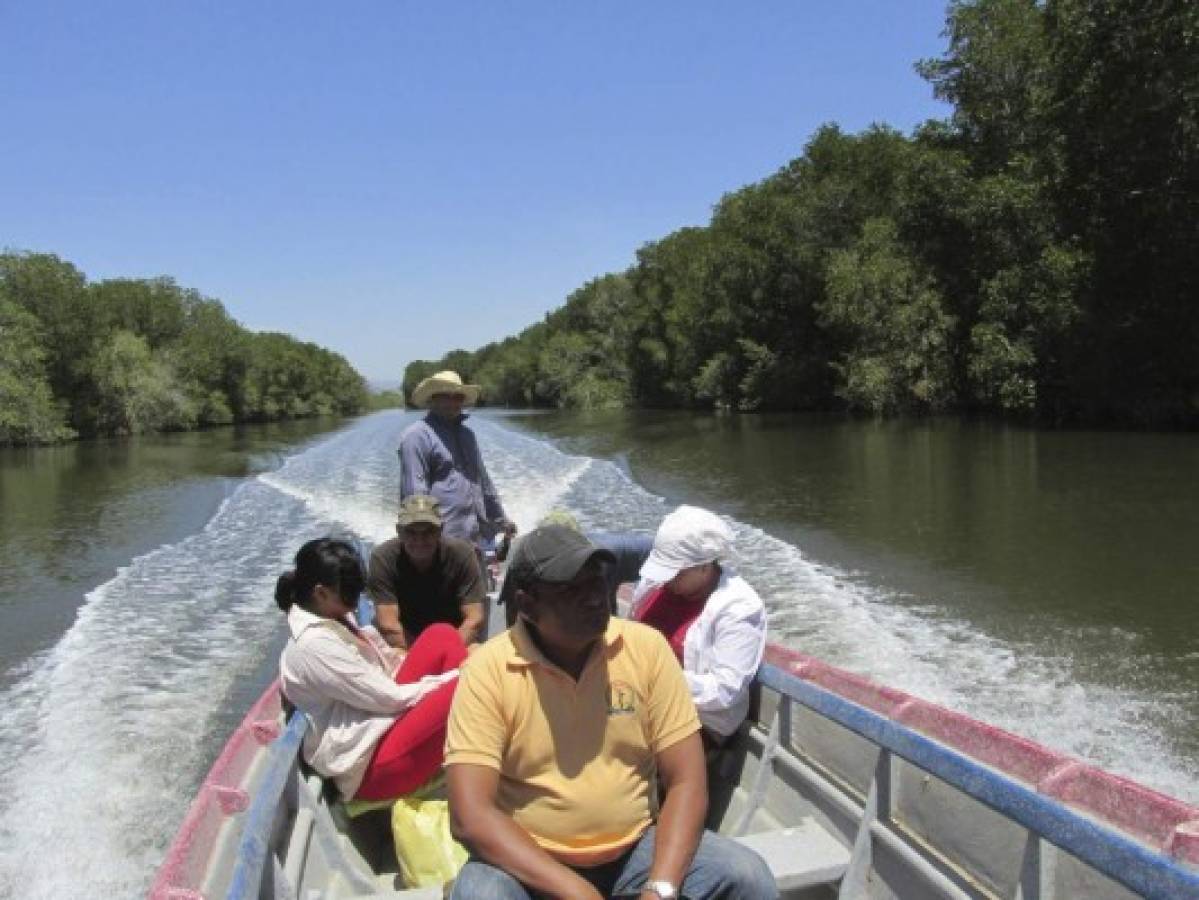 Marcovia apuesta al turismo con cabañas