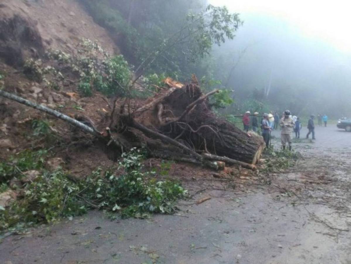 Interrumpido paso vehicular hacia Marcala por derrumbe en carretera