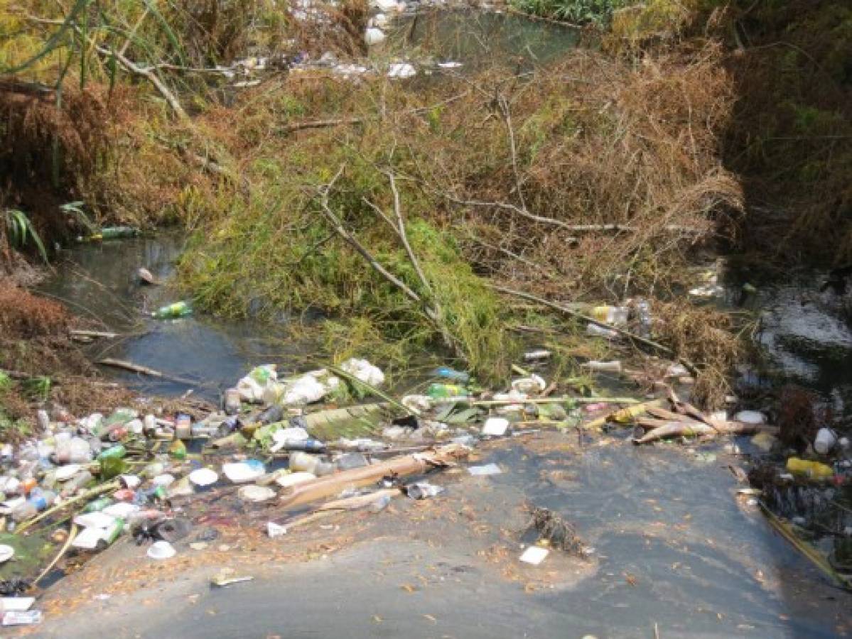 Se detiene plan de recuperación del entorno ecológico de Siguatepeque