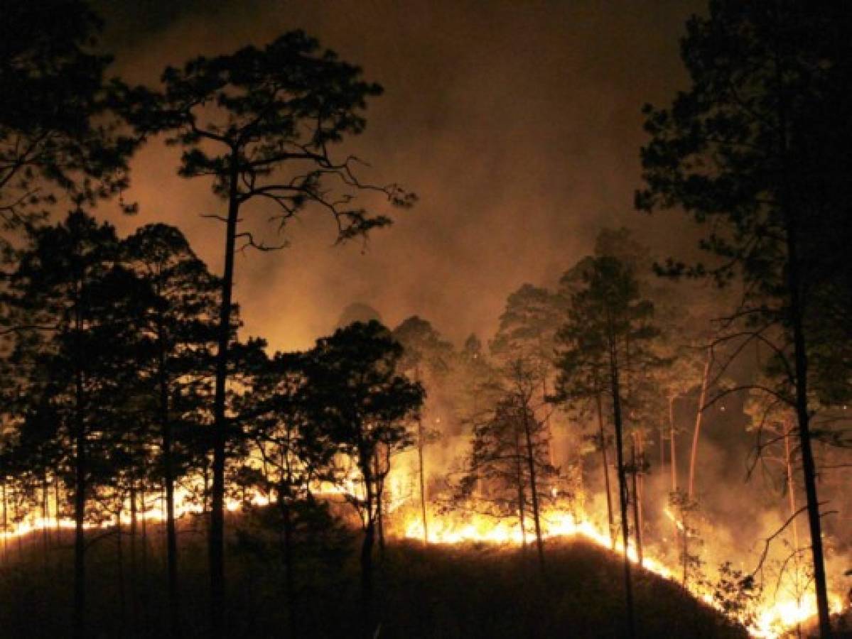 Se quintuplican incendios forestales en Rusia