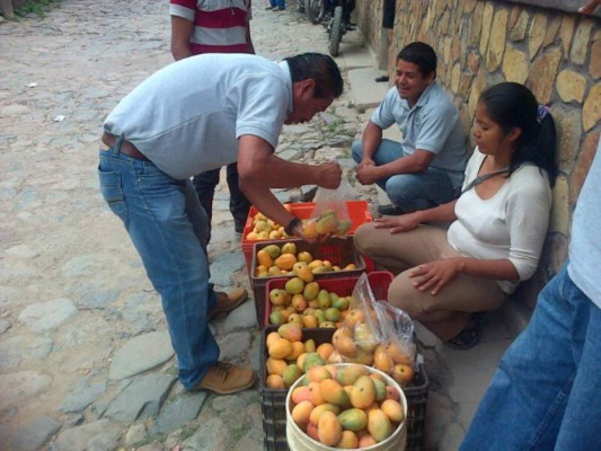 Yuscarán celebra su tradicional Festival del Mango