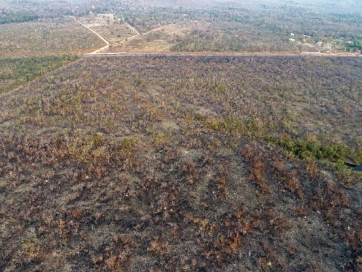 Fotos engañosas sobre los incendios que arrasan la Amazonia  
