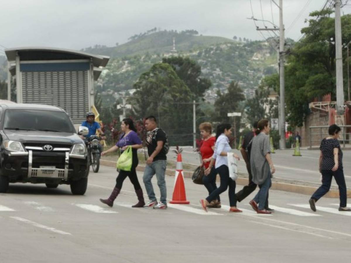 Ejecutarán millonario proyecto de semáforos inteligentes peatonales en Tegucigalpa