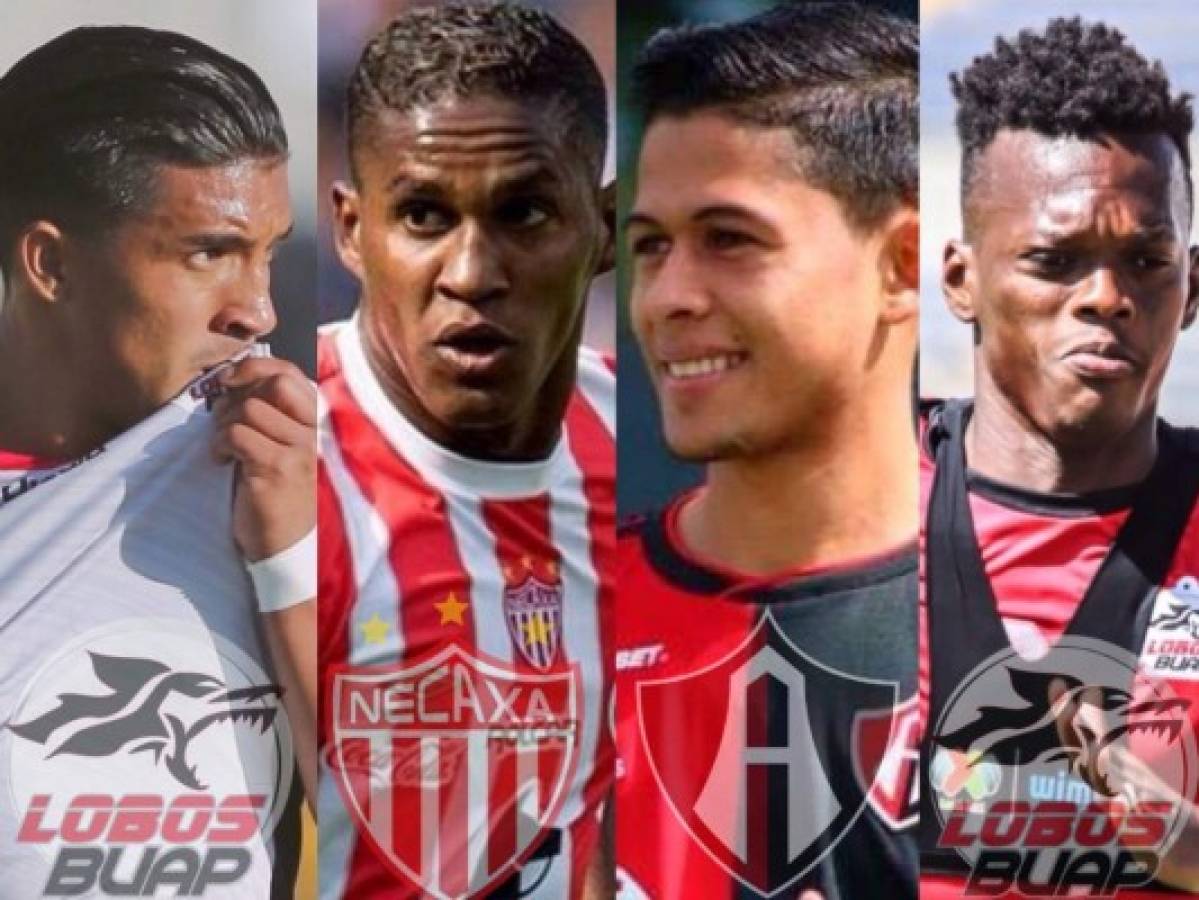 Por primera vez cuatro hondureños jugarán la misma temporada en la Liga MX