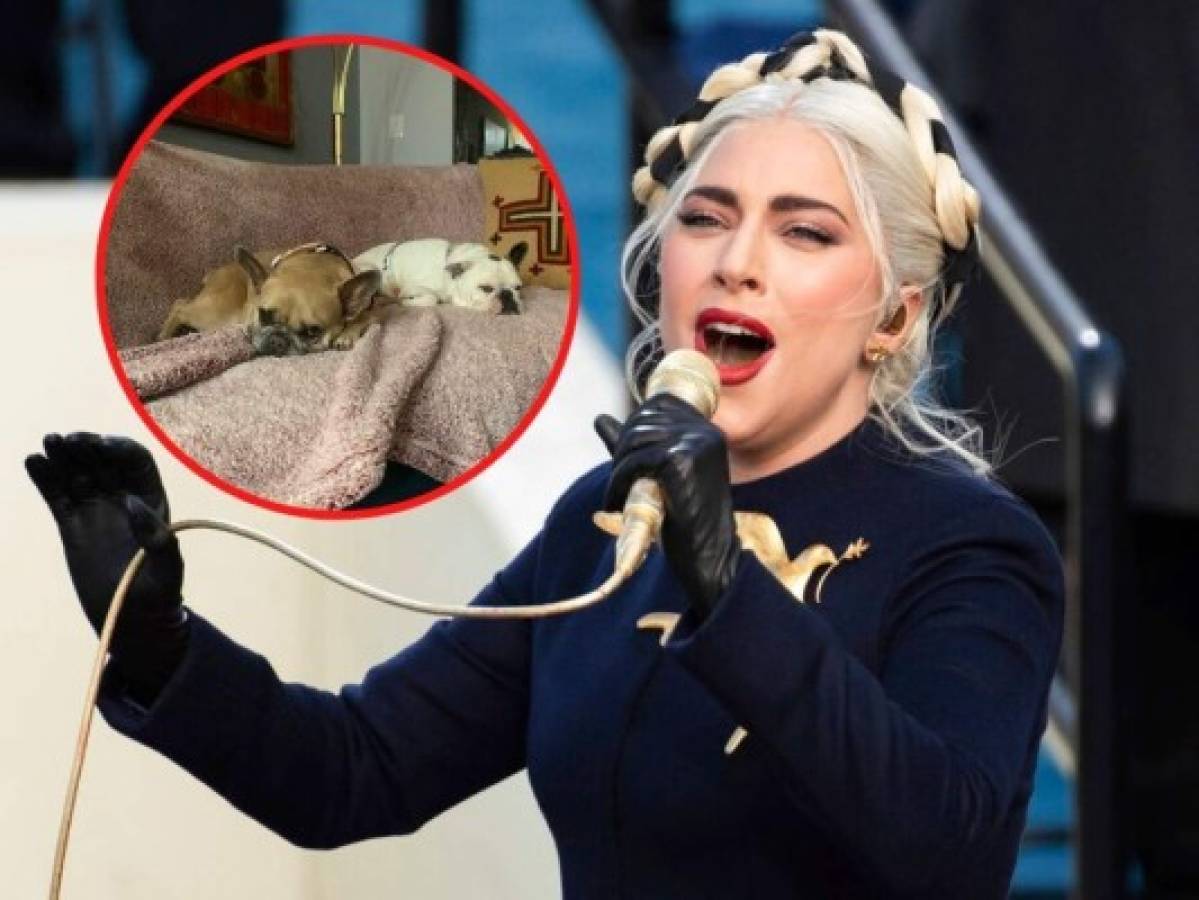 Nuevos datos salen a la luz sobre robo de los bulldogs de Lady Gaga