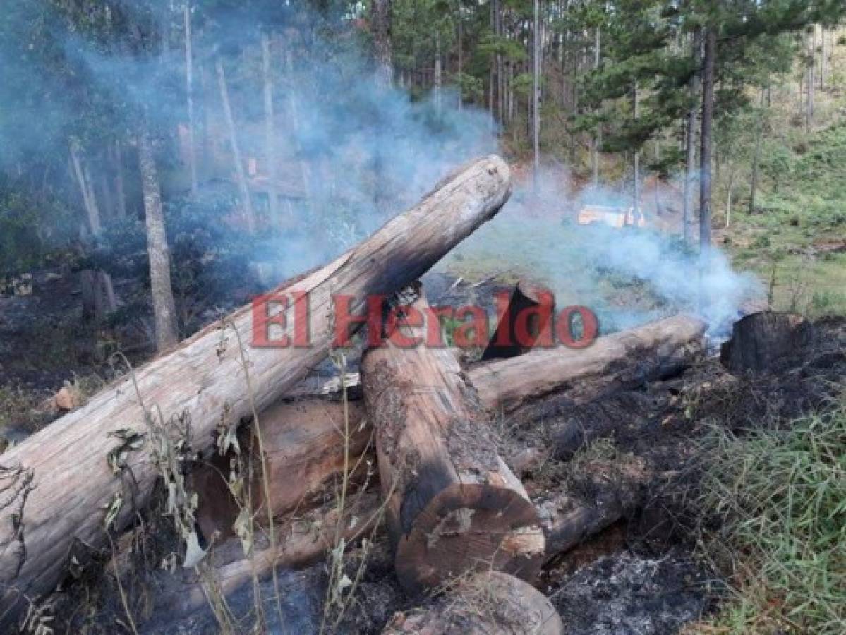 No cesa incendio en El Hatillo; llamas ya consumieron unas 180 hectáreas