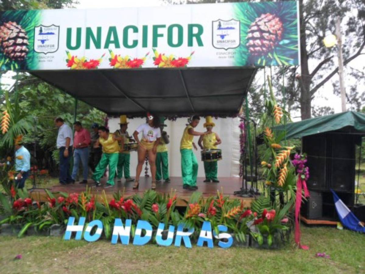 Festival de las Flores expone la belleza natural de Siguatepeque