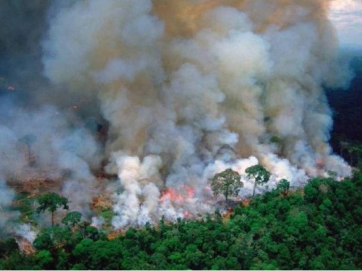 Bolsonaro: ONGs estarían provocando incendios en Amazonas