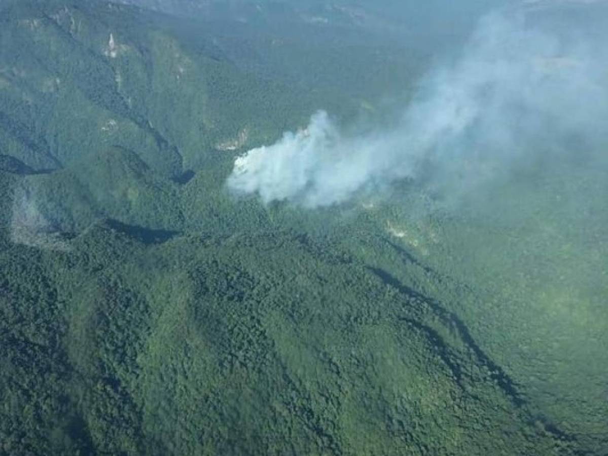 Experto: Actividad volcánica, posibilidad muy remota en Pico Bonito